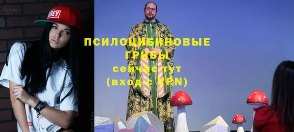 ECSTASY Покров