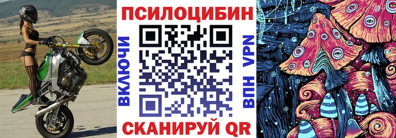 где найти наркотики  Сочи  Псилоцибиновые грибы мухоморы 
