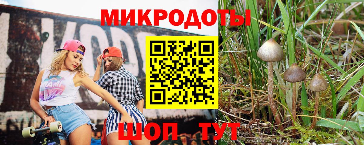 Галлюциногенные грибы GOLDEN TEACHER Сочи
